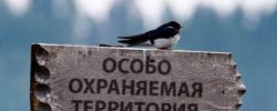 Год Особо Охраняемых Природных Территорий