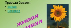 Объекты Природы