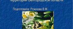 Особо Охраняемые Природные Территории Белгородской Области